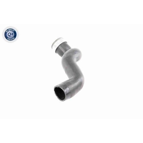 Ladeluftschlauch VAICO V10-3786 Q+, Erstausr&uuml;sterqualit&auml;t f&uuml;r AUDI SEAT SKODA VW