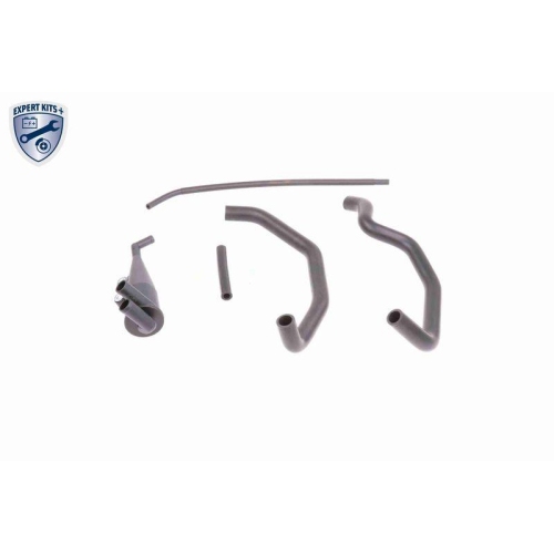 Reparatursatz, Kurbelgeh&auml;useentl&uuml;ftung VAICO V20-0004 EXPERT KITS + f&uuml;r BMW
