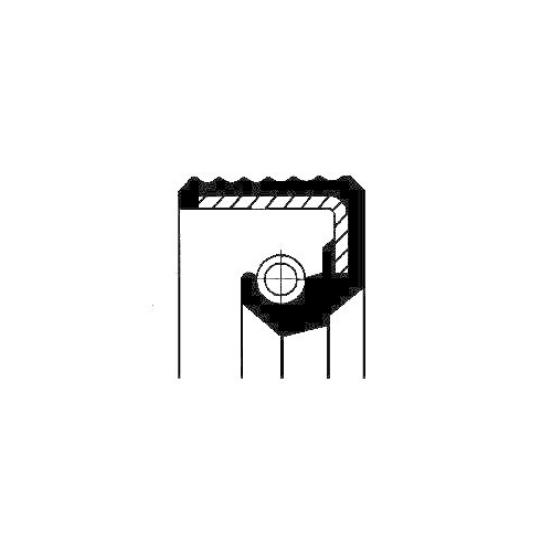 Dichtring CORTECO 01016891B für ZF