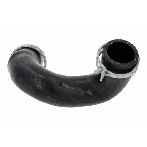 VAICO V20-5257 K&uuml;hlerschlauch Original VAICO Qualit&auml;t f&uuml;r BMW MINI, unten