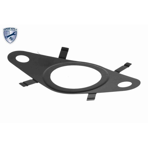 Dichtung, AGR-Ventil VEMO V24-63-0038 EXPERT KITS + für FIAT FORD