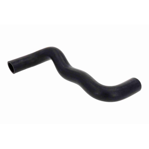 ACKOJA A32-1611 K&uuml;hlerschlauch Original ACKOJA Qualit&auml;t f&uuml;r MAZDA, unten