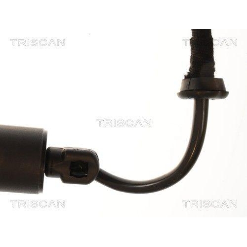 TRISCAN 8710 29336 Gasfeder, Koffer-/Laderaum f&uuml;r AUDI, links, rechts