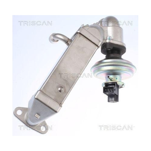 AGR-Ventil TRISCAN 8813 11009 f&uuml;r BMW HITACHI