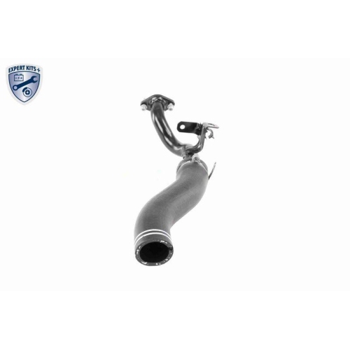 Ladeluftschlauch VAICO V24-0722 EXPERT KITS + f&uuml;r FIAT, Ladeluftk&uuml;hler, rechts