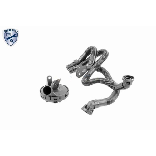Reparatursatz, Kurbelgeh&auml;useentl&uuml;ftung VAICO V10-6492 EXPERT KITS + f&uuml;r SEAT VW