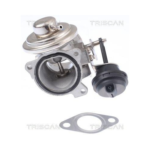 AGR-Ventil TRISCAN 8813 29308 f&uuml;r VW