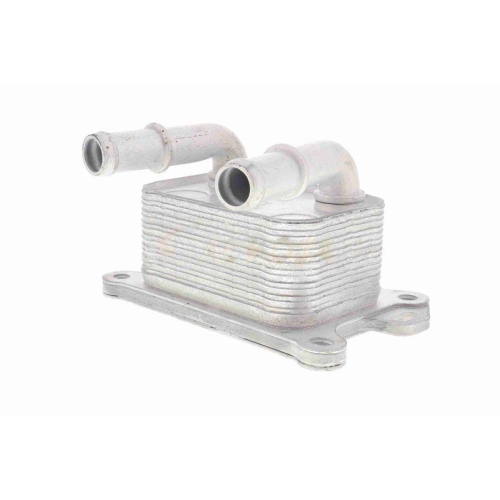 ACKOJA A38-60-0004 &Ouml;lk&uuml;hler, Motor&ouml;l Original ACKOJA Qualit&auml;t f&uuml;r NISSAN