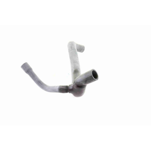 Kühlerschlauch VAICO V30-1572 Q+, Erstausrüsterqualität für MERCEDES-BENZ, unten