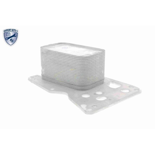 &Ouml;lk&uuml;hler, Motor&ouml;l VEMO V20-60-0076 EXPERT KITS + f&uuml;r BMW TOYOTA