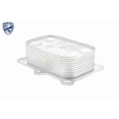 &Ouml;lk&uuml;hler, Motor&ouml;l VEMO V24-60-0014 EXPERT KITS + f&uuml;r FIAT