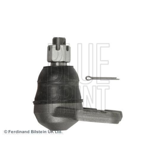 Trag-/F&uuml;hrungsgelenk BLUE PRINT ADM58608 f&uuml;r FORD MAZDA FORD USA, unten