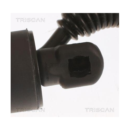 Gasfeder, Koffer-/Laderaum TRISCAN 8710 29306 f&uuml;r SKODA, hinten links