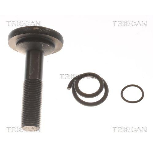 Antriebswelle TRISCAN 8540 11584 f&uuml;r BMW MINI, Hinterachse