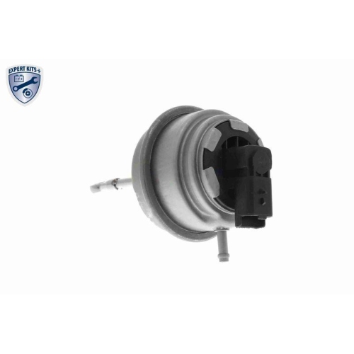 Steuerdose, Lader VEMO V22-40-0004 EXPERT KITS + für CITROËN PEUGEOT