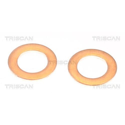 Bremsschlauch TRISCAN 8150 131006 f&uuml;r TOYOTA, Vorderachse rechts