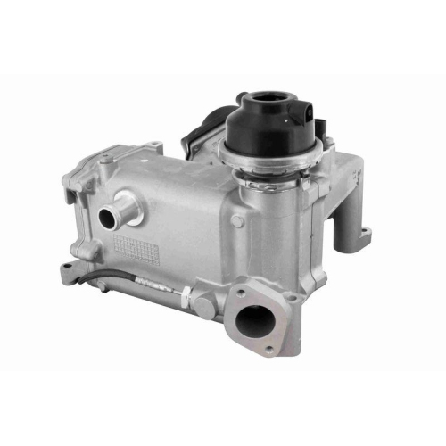 K&uuml;hler, Abgasr&uuml;ckf&uuml;hrung VEMO V10-63-0171 Original VEMO Qualit&auml;t f&uuml;r SEAT SKODA