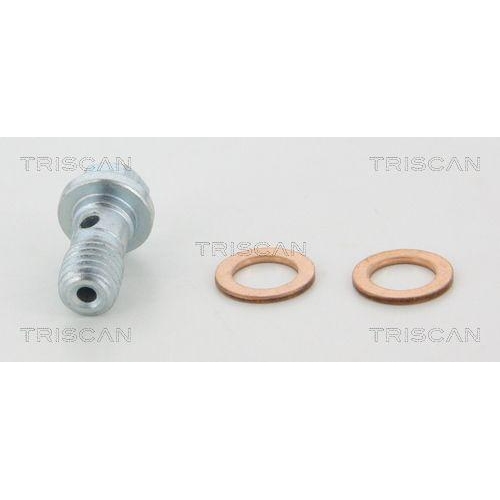 Bremsschlauch TRISCAN 8150 29264 f&uuml;r AUDI SEAT SKODA VW, Hinterachse, innen