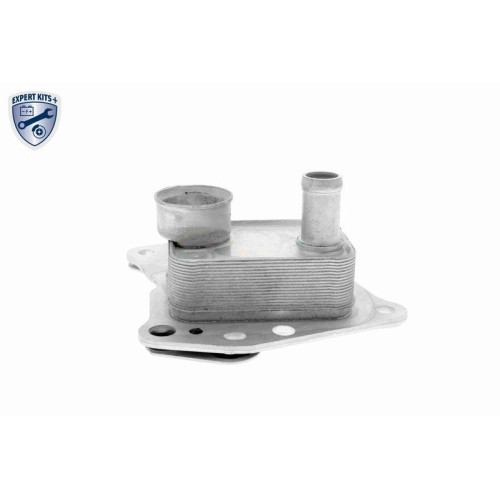 &Ouml;lk&uuml;hler, Motor&ouml;l VEMO V30-60-0008 EXPERT KITS + f&uuml;r MERCEDES-BENZ FORCE