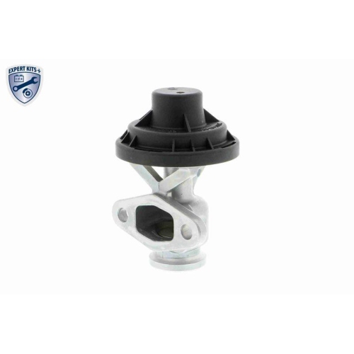 AGR-Ventil VEMO V10-63-0044 EXPERT KITS + f&uuml;r AUDI SEAT SKODA VW VAG