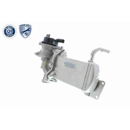 AGR-Ventil VEMO V10-63-0047 EXPERT KITS + für AUDI SEAT SKODA VW VAG