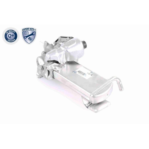 AGR-Ventil VEMO V10-63-0049 EXPERT KITS + f&uuml;r AUDI SEAT SKODA VW VAG