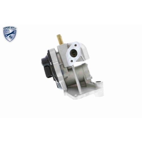 AGR-Ventil VEMO V10-63-0053-1 EXPERT KITS + f&uuml;r AUDI SEAT SKODA VW VAG