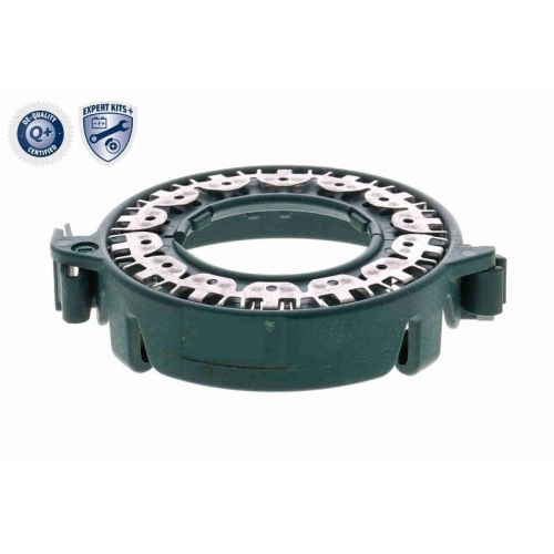 Steuerger&auml;t, Beleuchtung VEMO V10-73-0387-KIT2 EXPERT KITS + f&uuml;r AUDI FORD SEAT