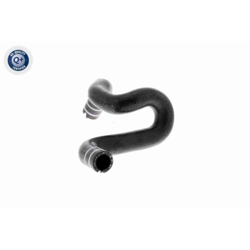 Kühlerschlauch VAICO V24-0806 Q+, Erstausrüsterqualität für FIAT