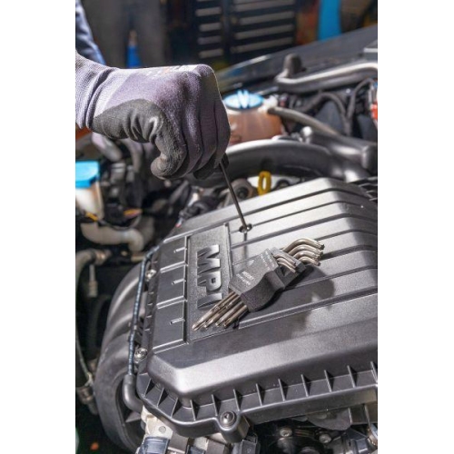 Winkelschraubendrehersatz HAZET 2116LG/8H für