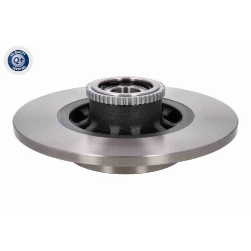 VAICO V46-40035 2 St&uuml;ck Bremsscheiben Q+, Erstausr&uuml;sterqualit&auml;t f&uuml;r FIAT NISSAN OPEL