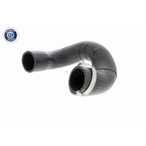 Ladeluftschlauch VAICO V46-0849 Q+, Erstausrüsterqualität für CHRYSLER RENAULT