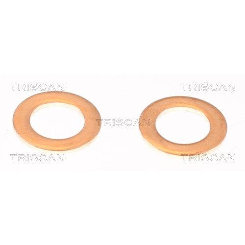 Bremsschlauch TRISCAN 8150 292026 f&uuml;r AUDI SEAT VW BENTLEY, Hinterachse