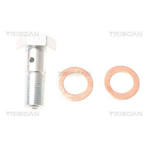 Bremsschlauch TRISCAN 8150 10230 f&uuml;r OPEL SAAB VAUXHALL CHEVROLET, Hinterachse