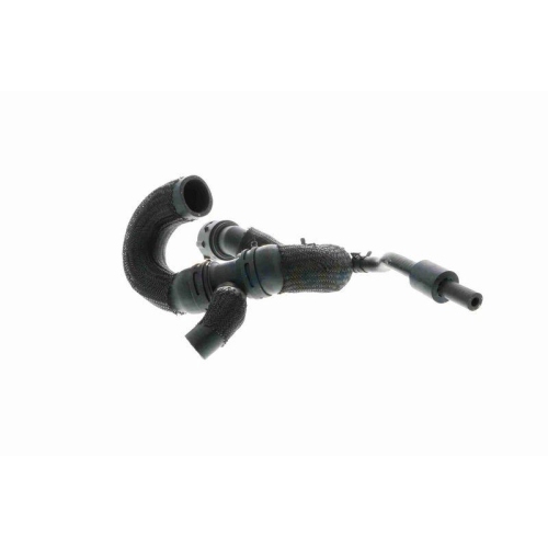 K&uuml;hlerschlauch VAICO V10-4288 Q+, Erstausr&uuml;sterqualit&auml;t f&uuml;r AUDI SEAT SKODA VW