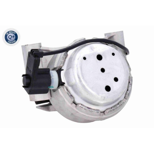 Lagerung, Motor VAICO V10-7428 Green Mobility Parts für VAG, vorne rechts