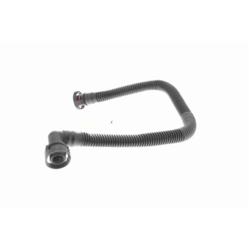 Schlauch, Kurbelgeh&auml;useentl&uuml;ftung VAICO V10-5454 Original VAICO Qualit&auml;t f&uuml;r VW