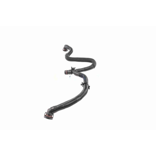 Schlauch, Kurbelgeh&auml;useentl&uuml;ftung VAICO V10-5456 Green Mobility Parts f&uuml;r SEAT