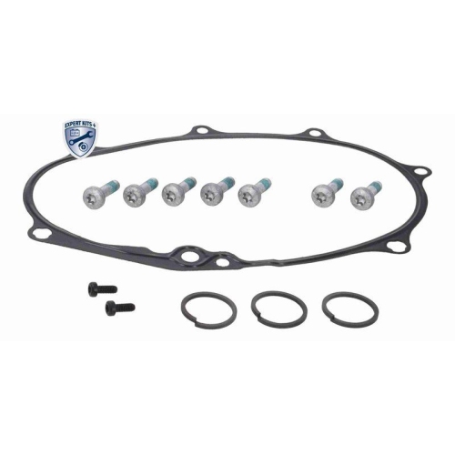 Reparatursatz, Nockenwellenverstellung VAICO V10-6695 EXPERT KITS + f&uuml;r VW VAG