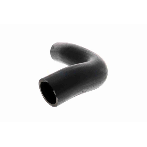 ACKOJA A63-1601 K&uuml;hlerschlauch Original ACKOJA Qualit&auml;t f&uuml;r SUBARU, unten