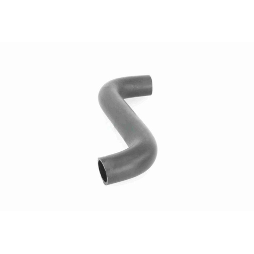ACKOJA A63-1602 K&uuml;hlerschlauch Original ACKOJA Qualit&auml;t f&uuml;r SUBARU, oben