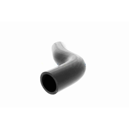 ACKOJA A64-1602 K&uuml;hlerschlauch Original ACKOJA Qualit&auml;t f&uuml;r SUZUKI, oben