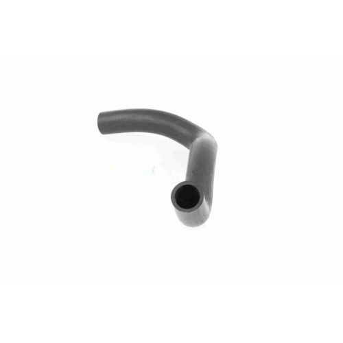 ACKOJA A64-1603 K&uuml;hlerschlauch Original ACKOJA Qualit&auml;t f&uuml;r SUZUKI, oben