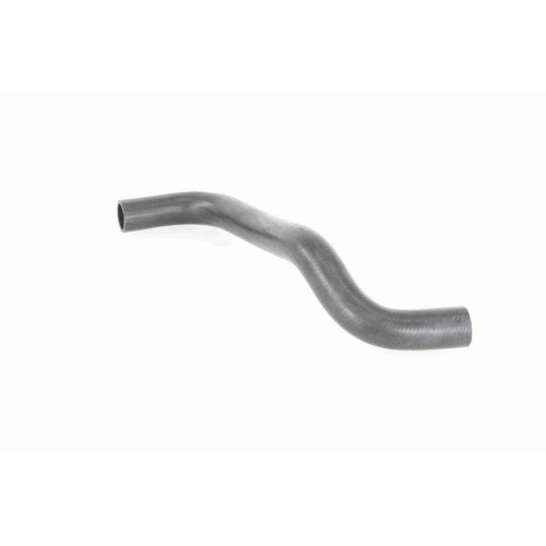 ACKOJA A64-1605 K&uuml;hlerschlauch Original ACKOJA Qualit&auml;t f&uuml;r SUZUKI, unten