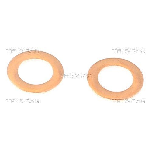 Bremsschlauch TRISCAN 8150 42142 f&uuml;r MITSUBISHI, Vorderachse links