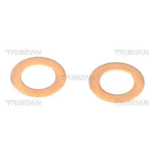 Bremsschlauch TRISCAN 8150 42143 f&uuml;r MITSUBISHI, Vorderachse rechts