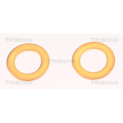 Bremsschlauch TRISCAN 8150 42287 f&uuml;r MITSUBISHI, Hinterachse, au&szlig;en