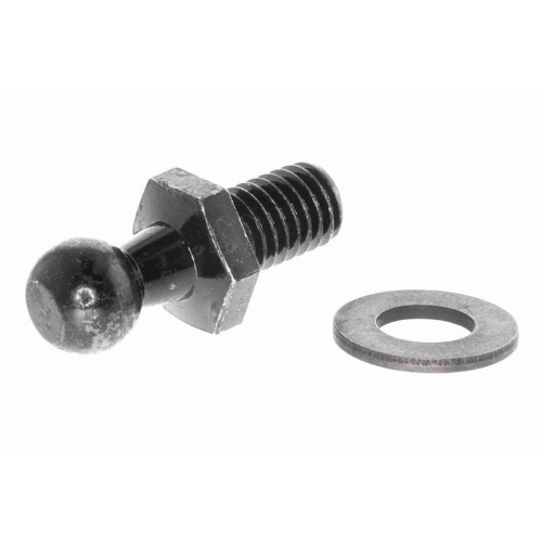 ACKOJA A63-0016 Gasfeder, Koffer-/Laderaum Original ACKOJA Qualit&auml;t f&uuml;r SUBARU