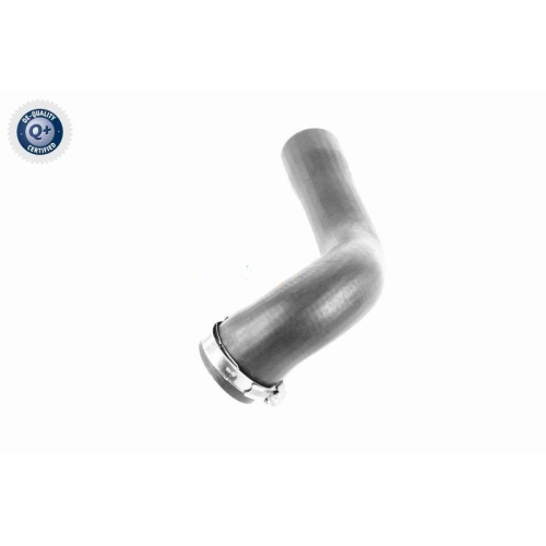 Ladeluftschlauch VAICO V40-1508 Q+, Erstausrüsterqualität für OPEL