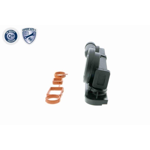 Reparatursatz, Kurbelgeh&auml;useentl&uuml;ftung VAICO V10-6458 EXPERT KITS + f&uuml;r AUDI VW